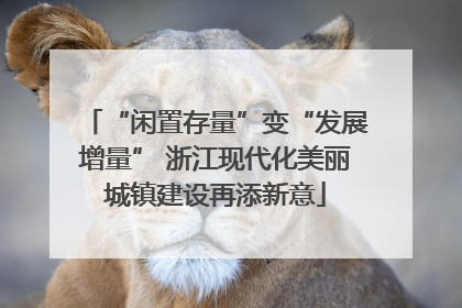 “闲置存量”变“发展增量” 浙江现代化美丽城镇建设再添新意