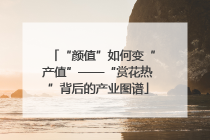 “颜值”如何变“产值”——“赏花热”背后的产业图谱
