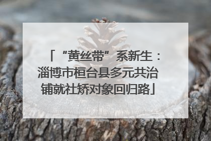 “黄丝带”系新生：淄博市桓台县多元共治铺就社矫对象回归路