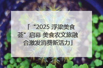 “2025 浮梁美食荟”启幕 美食农文旅融合激发消费新活力