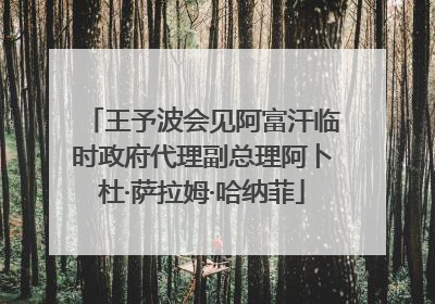 王予波会见阿富汗临时政府代理副总理阿卜杜·萨拉姆·哈纳菲