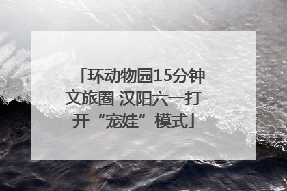 环动物园15分钟文旅圈 汉阳六一打开“宠娃”模式