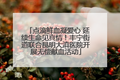 点滴鲜血凝爱心 延续生命见真情！丰宁街道联合昆明大滇医院开展无偿献血活动
