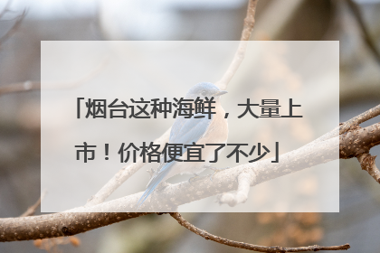 烟台这种海鲜，大量上市！价格便宜了不少