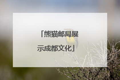 熊猫邮局展示成都文化