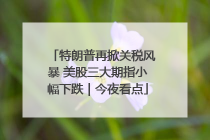 特朗普再掀关税风暴 美股三大期指小幅下跌｜今夜看点