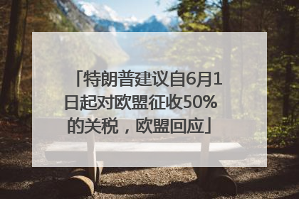 特朗普建议自6月1日起对欧盟征收50%的关税，欧盟回应