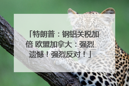 特朗普：钢铝关税加倍 欧盟加拿大：强烈遗憾！强烈反对！