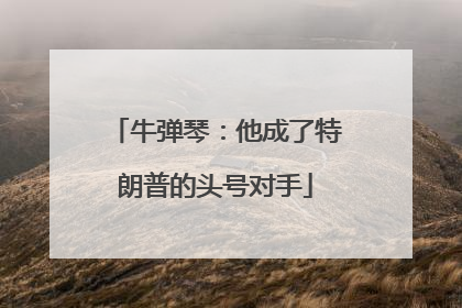 牛弹琴：他成了特朗普的头号对手
