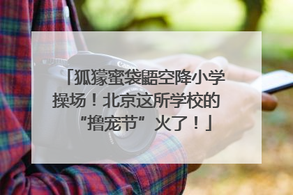 狐獴蜜袋鼯空降小学操场！北京这所学校的“撸宠节”火了！