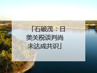 石破茂：日美关税谈判尚未达成共识