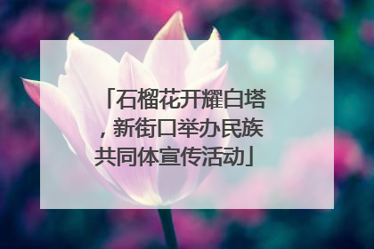 石榴花开耀白塔，新街口举办民族共同体宣传活动