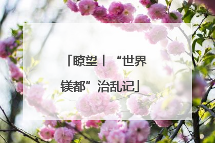 瞭望丨“世界镁都”治乱记