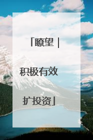 瞭望｜积极有效扩投资