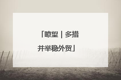 瞭望｜多措并举稳外贸
