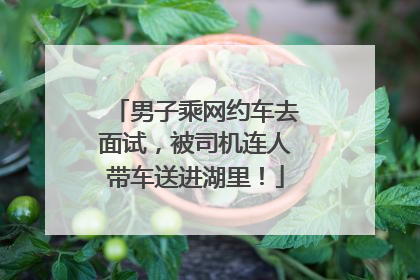 男子乘网约车去面试，被司机连人带车送进湖里！
