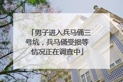 男子进入兵马俑三号坑，兵马俑受损等情况正在调查中