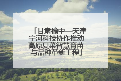 甘肃榆中—天津宁河科技协作推动高原夏菜智慧育苗与品种革新工程