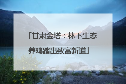 甘肃金塔：林下生态养鸡踏出致富新道