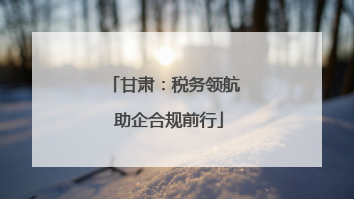 甘肃：税务领航 助企合规前行