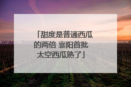 甜度是普通西瓜的两倍 襄阳首批太空西瓜熟了