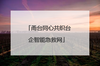甬台同心共织台企智能急救网