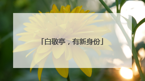 白敬亭，有新身份