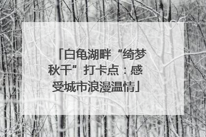 白龟湖畔“绮梦秋千”打卡点：感受城市浪漫温情