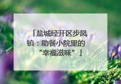 盐城经开区步凤镇：助餐小院里的“幸福滋味”
