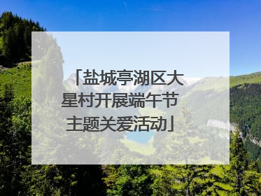 盐城亭湖区大星村开展端午节主题关爱活动