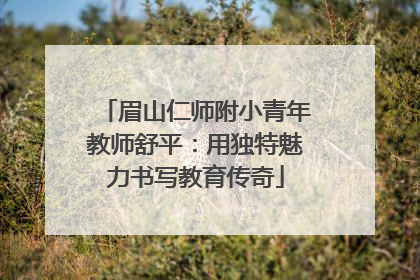 眉山仁师附小青年教师舒平：用独特魅力书写教育传奇