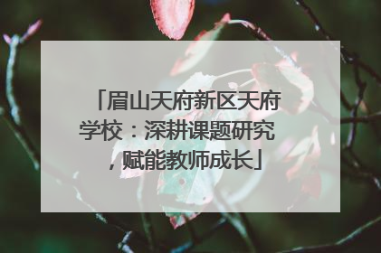 眉山天府新区天府学校：深耕课题研究，赋能教师成长