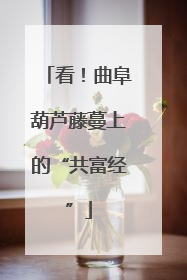 看！曲阜葫芦藤蔓上的“共富经”