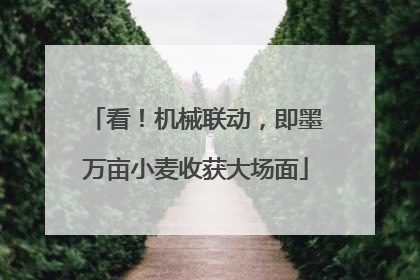 看！机械联动，即墨万亩小麦收获大场面
