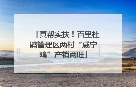 真帮实扶！百里杜鹃管理区两村“威宁鸡”产销两旺