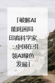 破解AI能耗困局 印裔科学家：中国在引领AI绿色发展