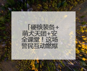 硬核装备+萌犬天团+安全课堂！这场警民互动燃爆地铁台东站