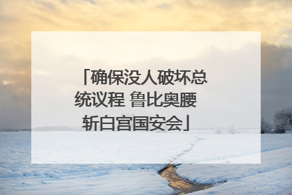 确保没人破坏总统议程 鲁比奥腰斩白宫国安会