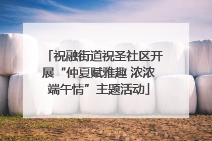 祝融街道祝圣社区开展“仲夏赋雅趣 浓浓端午情”主题活动
