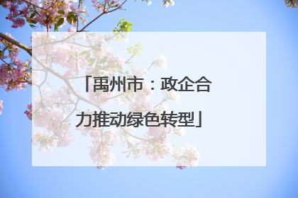 禹州市：政企合力推动绿色转型