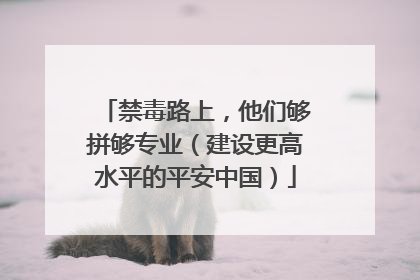 禁毒路上，他们够拼够专业（建设更高水平的平安中国）