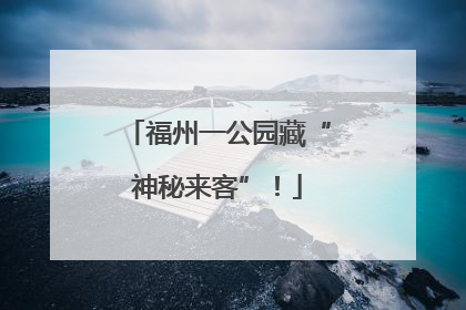 福州一公园藏“神秘来客”！