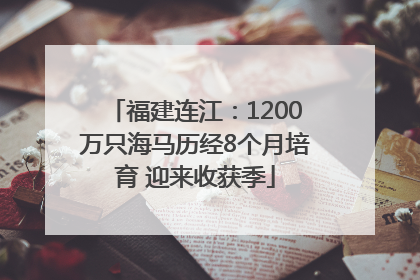 福建连江：1200万只海马历经8个月培育 迎来收获季