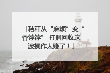 秸秆从“麻烦”变“香饽饽” 打捆回收这波操作太赚了！