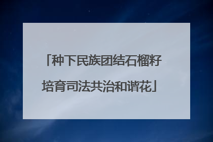 种下民族团结石榴籽 培育司法共治和谐花