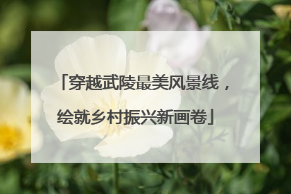 穿越武陵最美风景线，绘就乡村振兴新画卷