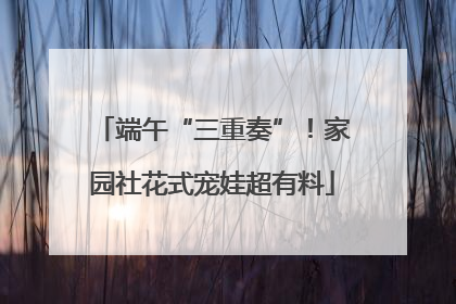 端午“三重奏”！家园社花式宠娃超有料