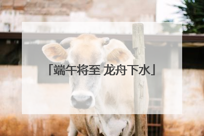 端午将至 龙舟下水