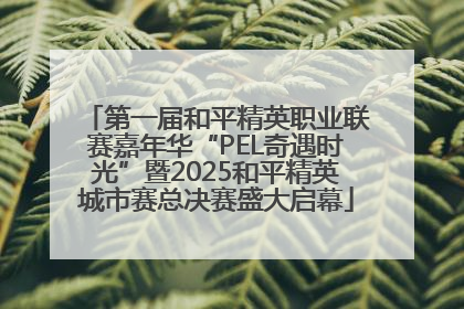 第一届和平精英职业联赛嘉年华“PEL奇遇时光”暨2025和平精英城市赛总决赛盛大启幕