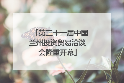 第三十一届中国兰州投资贸易洽谈会隆重开幕